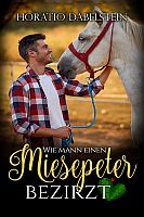 Horatio Dabelstein: Wie mann einen Miesepeter bezirzt